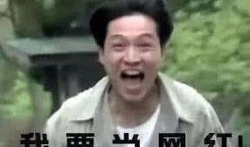 如何看待网红和吃瓜群众,网红现象与吃瓜群众视角下的社会观察  第2张